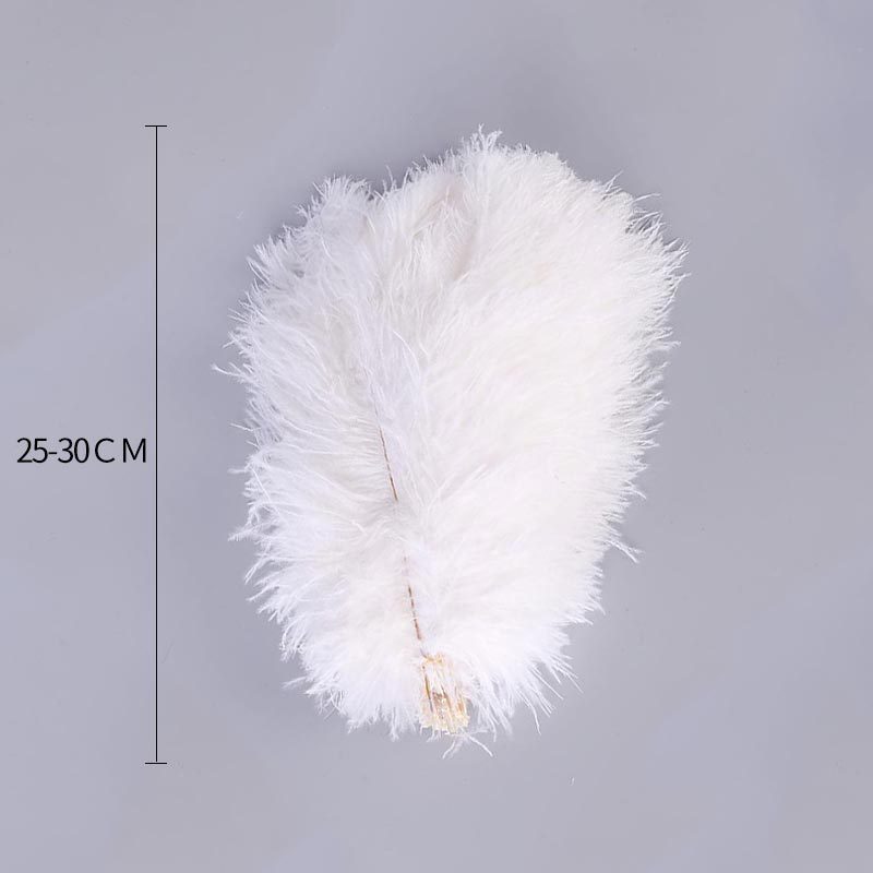 Spot Supply Ostrich Hair Thin Rod Soft Hair 25-30cm Various Colors Wedding Celebration Decoration Feather Flower Arrangement Feather