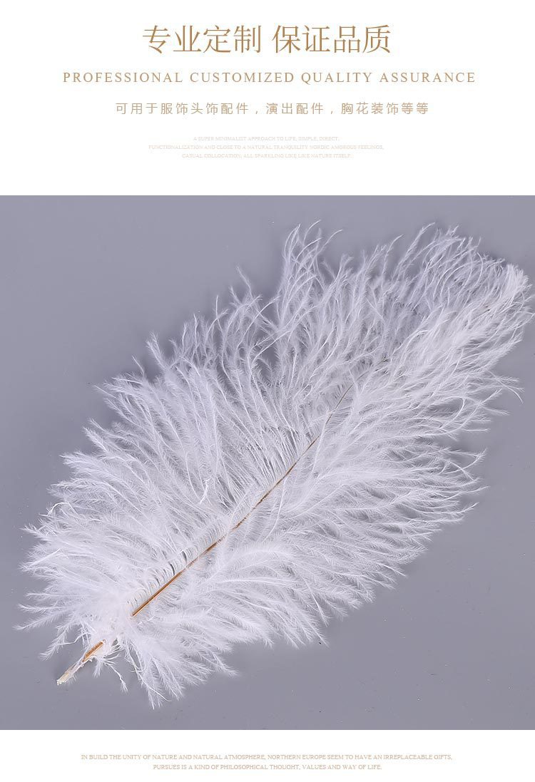 Spot Supply Ostrich Hair Thin Rod Soft Hair 25-30cm Various Colors Wedding Celebration Decoration Feather Flower Arrangement Feather Spot Supply Ostrich Hair Thin Rod Soft Hair 25-30cm Various Colors Wedding Celebration Decoration Feather Flower Arrangement Feather