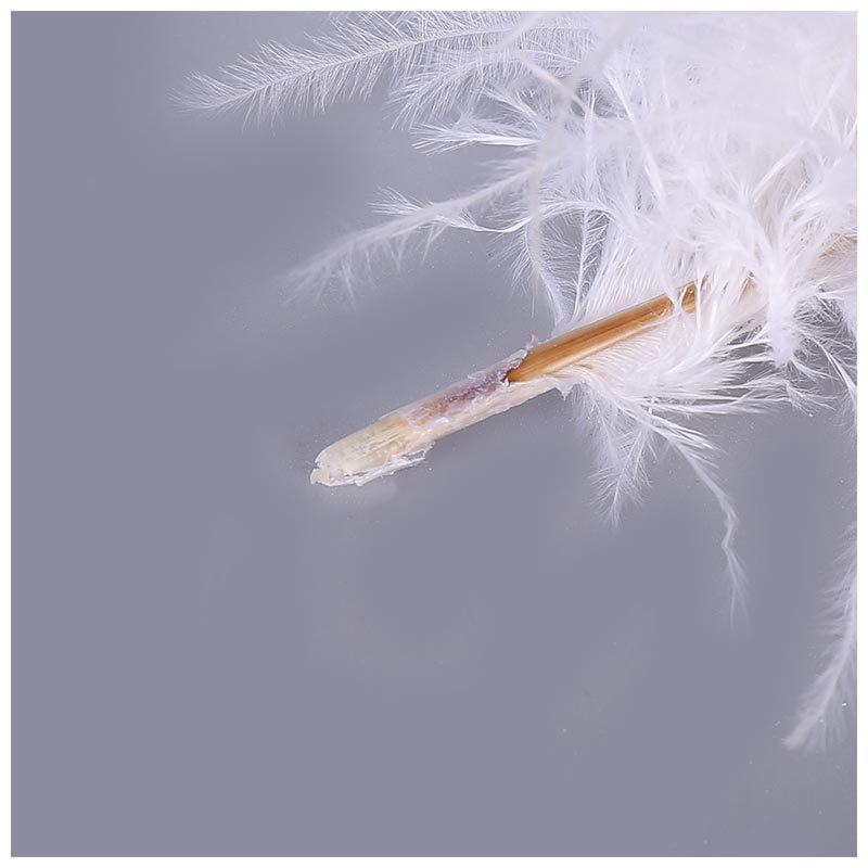 Spot Supply Ostrich Hair Thin Rod Soft Hair 25-30cm Various Colors Wedding Celebration Decoration Feather Flower Arrangement Feather