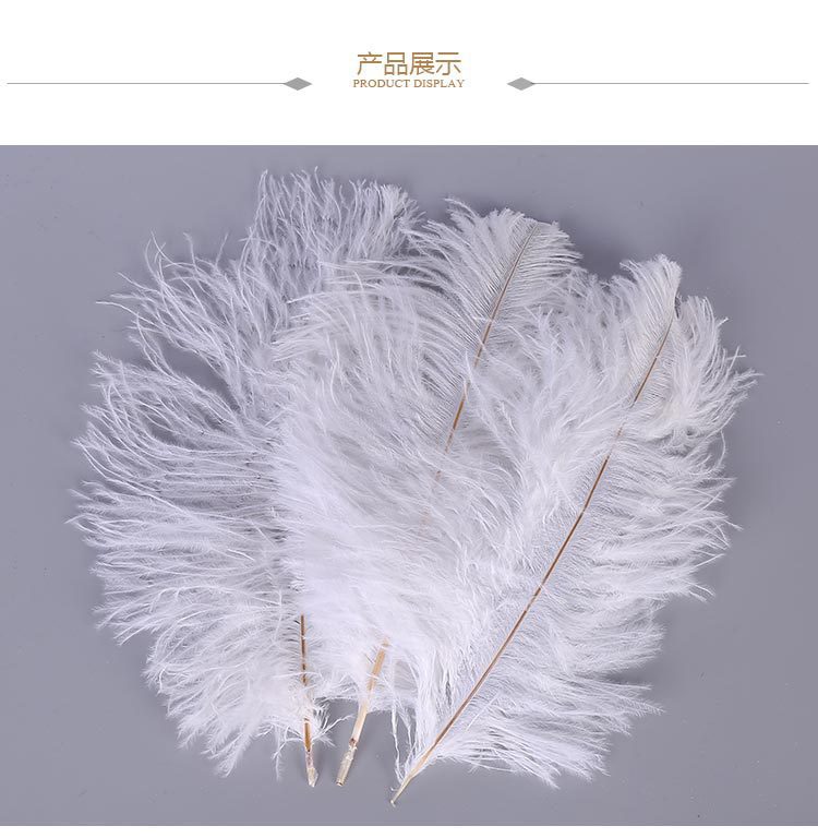 Spot Supply Ostrich Hair Thin Rod Soft Hair 25-30cm Various Colors Wedding Celebration Decoration Feather Flower Arrangement Feather Spot Supply Ostrich Hair Thin Rod Soft Hair 25-30cm Various Colors Wedding Celebration Decoration Feather Flower Arrangement Feather