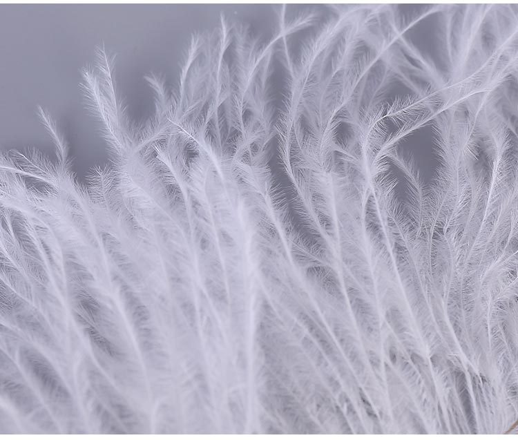 Spot Supply Ostrich Hair Thin Rod Soft Hair 25-30cm Various Colors Wedding Celebration Decoration Feather Flower Arrangement Feather Spot Supply Ostrich Hair Thin Rod Soft Hair 25-30cm Various Colors Wedding Celebration Decoration Feather Flower Arrangement Feather