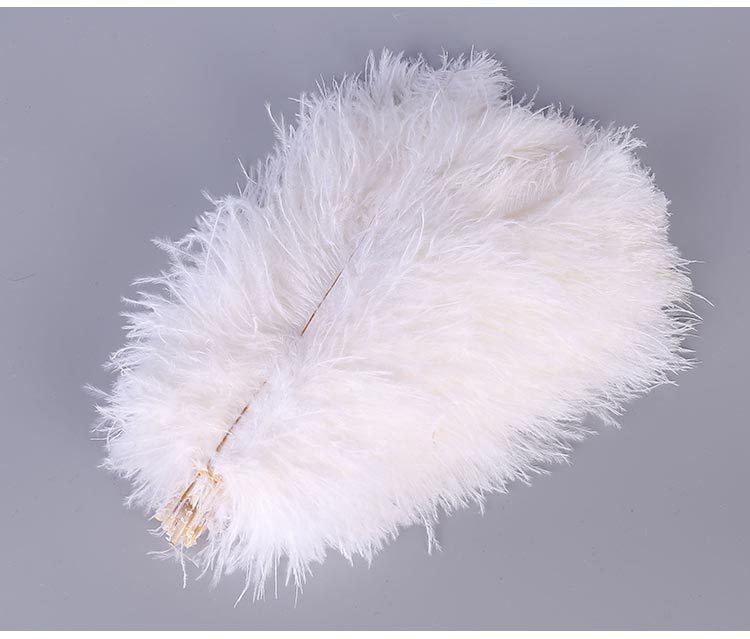 Spot Supply Ostrich Hair Thin Rod Soft Hair 25-30cm Various Colors Wedding Celebration Decoration Feather Flower Arrangement Feather Spot Supply Ostrich Hair Thin Rod Soft Hair 25-30cm Various Colors Wedding Celebration Decoration Feather Flower Arrangement Feather