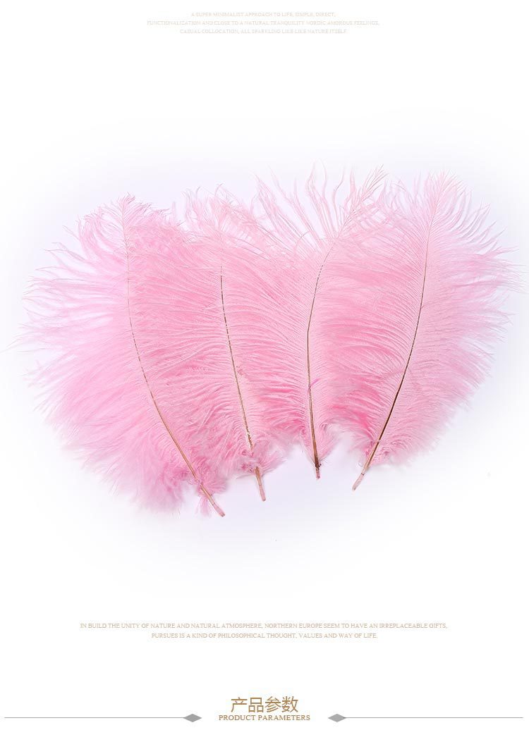 Factory Direct Supply Hard Tube Ostrich Hair 20-25cm Tail Hair Stage Decorative Flower Arrangement Road Lead Large Size Ostrich Feather
