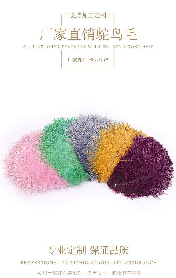 Factory Direct Supply Hard Tube Ostrich Hair 20-25cm Tail Hair Stage Decorative Flower Arrangement Road Lead Large Size Ostrich Feather