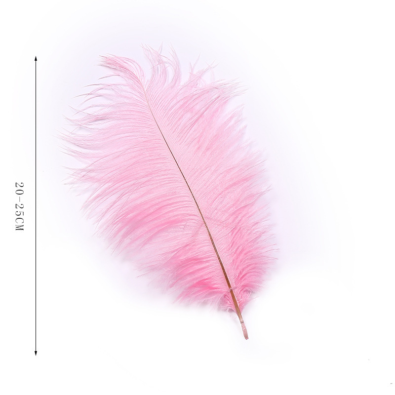 Factory Direct Supply Hard Tube Ostrich Hair 20-25cm Tail Hair Stage Decorative Flower Arrangement Road Lead Large Size Ostrich Feather