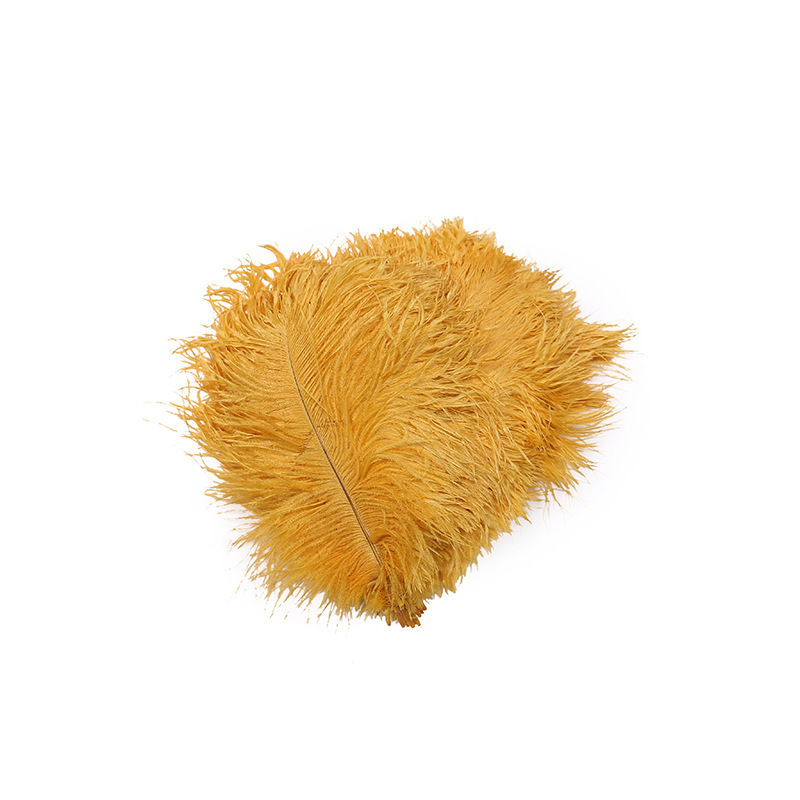 Factory Direct Supply Hard Tube Ostrich Hair 20-25cm Tail Hair Stage Decorative Flower Arrangement Road Lead Large Size Ostrich Feather