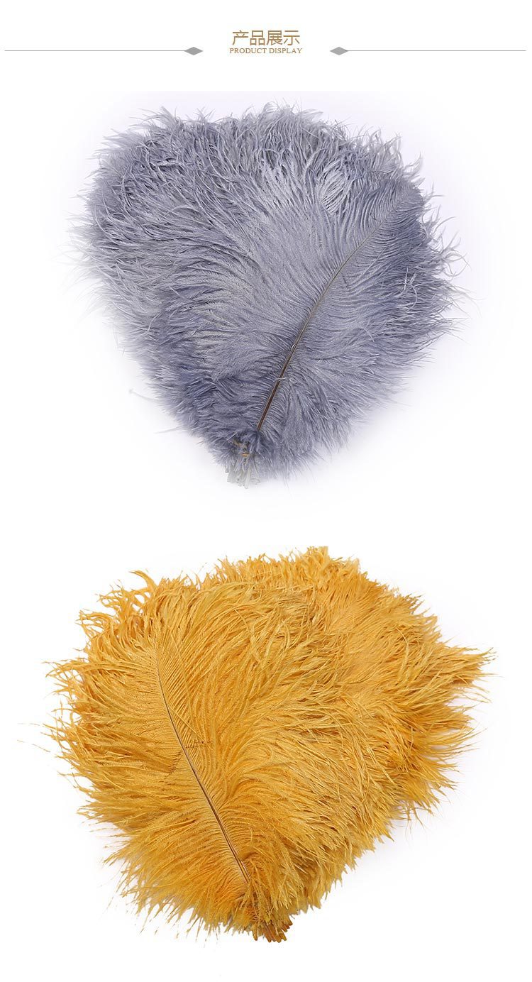 Factory Direct Supply Hard Tube Ostrich Hair 20-25cm Tail Hair Stage Decorative Flower Arrangement Road Lead Large Size Ostrich Feather