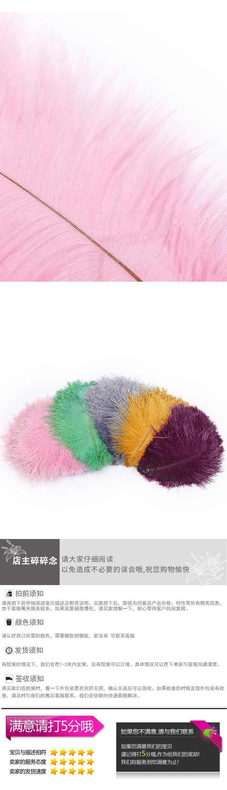 Factory Direct Supply Hard Tube Ostrich Hair 20-25cm Tail Hair Stage Decorative Flower Arrangement Road Lead Large Size Ostrich Feather