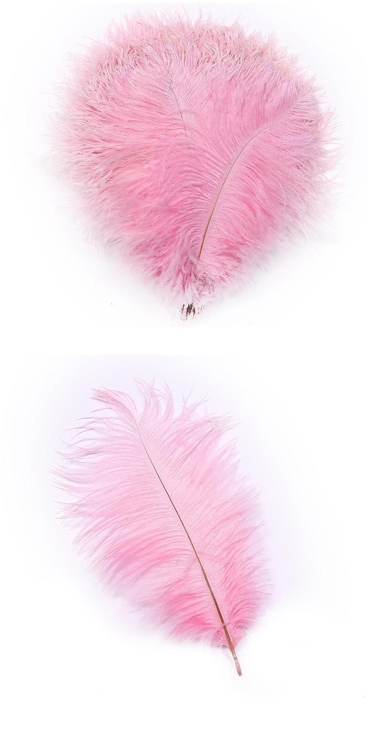 Factory Direct Supply Hard Tube Ostrich Hair 20-25cm Tail Hair Stage Decorative Flower Arrangement Road Lead Large Size Ostrich Feather