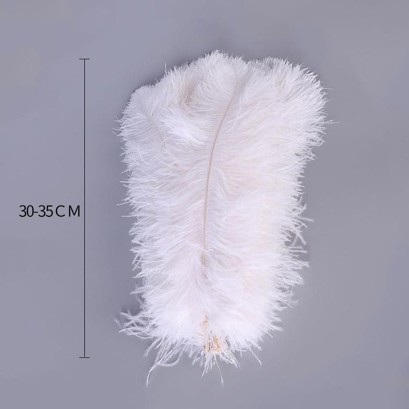 Factory Direct Supply Ostrich Hair 30-35cm Soft Rod Ostrich Feather Decoration Clothing Accessories Multi-Color Dyed