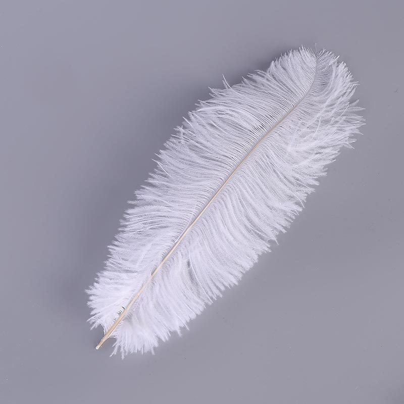 Factory Direct Supply Ostrich Hair 30-35cm Soft Rod Ostrich Feather Decoration Clothing Accessories Multi-Color Dyed