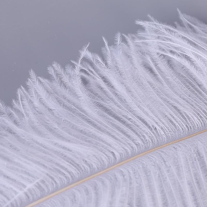 Factory Direct Supply Ostrich Hair 30-35cm Soft Rod Ostrich Feather Decoration Clothing Accessories Multi-Color Dyed