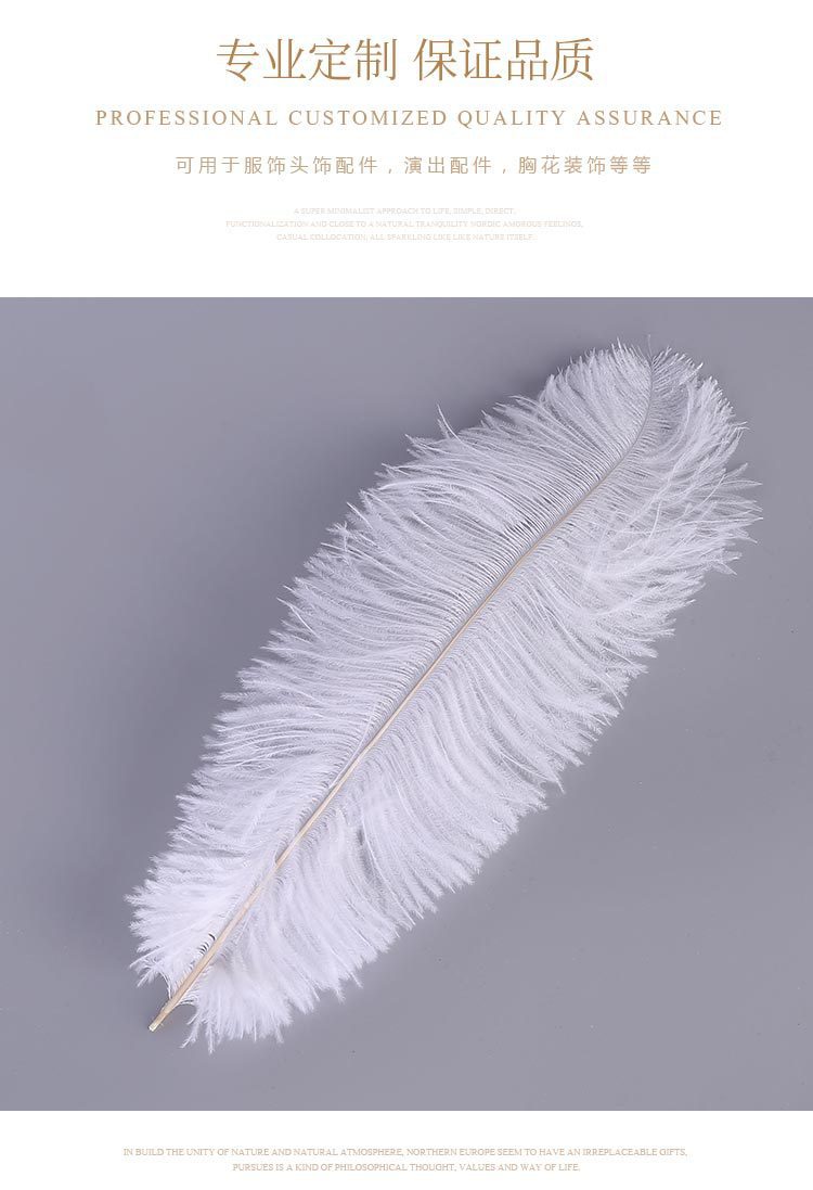 Factory Direct Supply Ostrich Hair 30-35cm Soft Rod Ostrich Feather Decoration Clothing Accessories Multi-Color Dyed