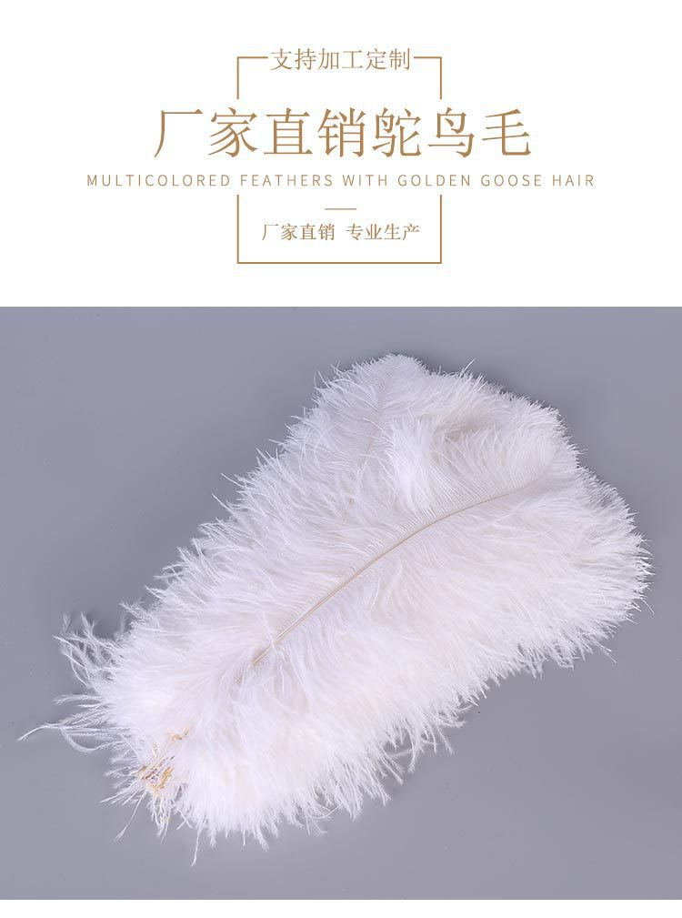Factory Direct Supply Ostrich Hair 30-35cm Soft Rod Ostrich Feather Decoration Clothing Accessories Multi-Color Dyed