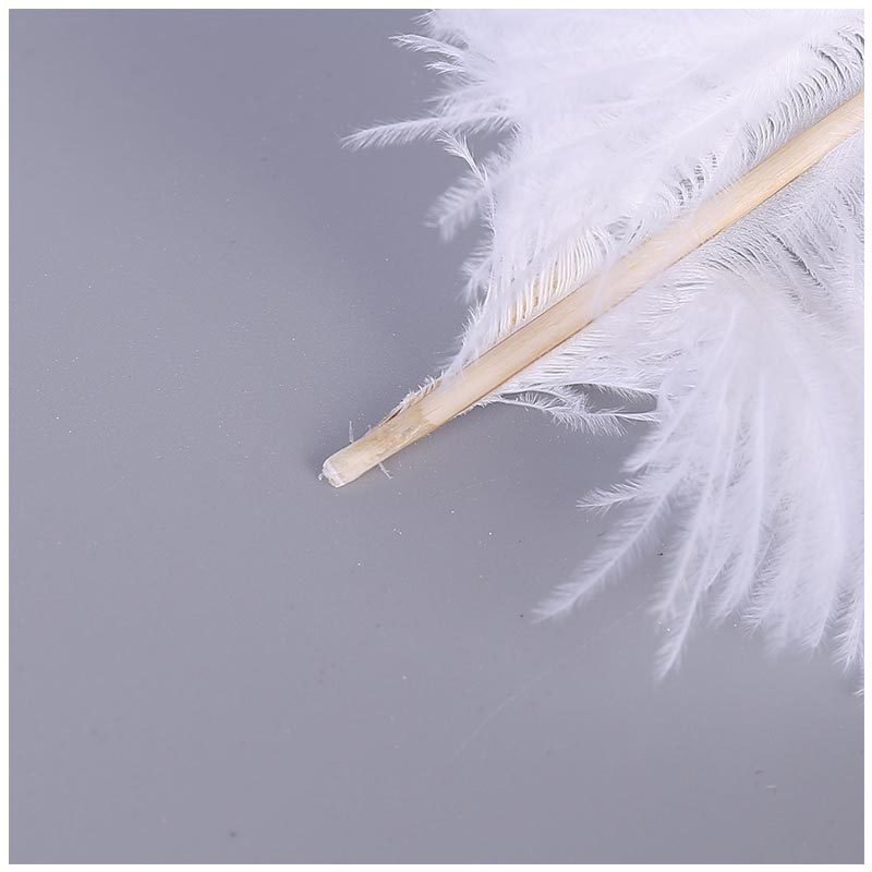 Factory Direct Supply Ostrich Hair 30-35cm Soft Rod Ostrich Feather Decoration Clothing Accessories Multi-Color Dyed