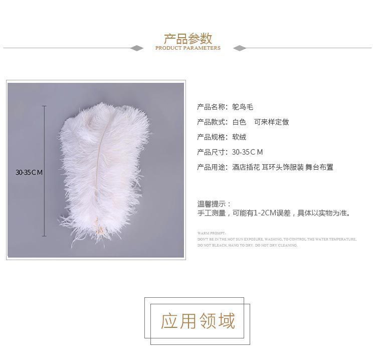 Factory Direct Supply Ostrich Hair 30-35cm Soft Rod Ostrich Feather Decoration Clothing Accessories Multi-Color Dyed