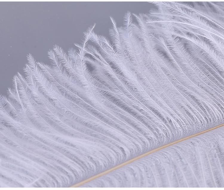 Factory Direct Supply Ostrich Hair 30-35cm Soft Rod Ostrich Feather Decoration Clothing Accessories Multi-Color Dyed