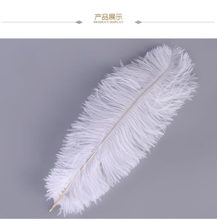 Factory Direct Supply Ostrich Hair 30-35cm Soft Rod Ostrich Feather Decoration Clothing Accessories Multi-Color Dyed