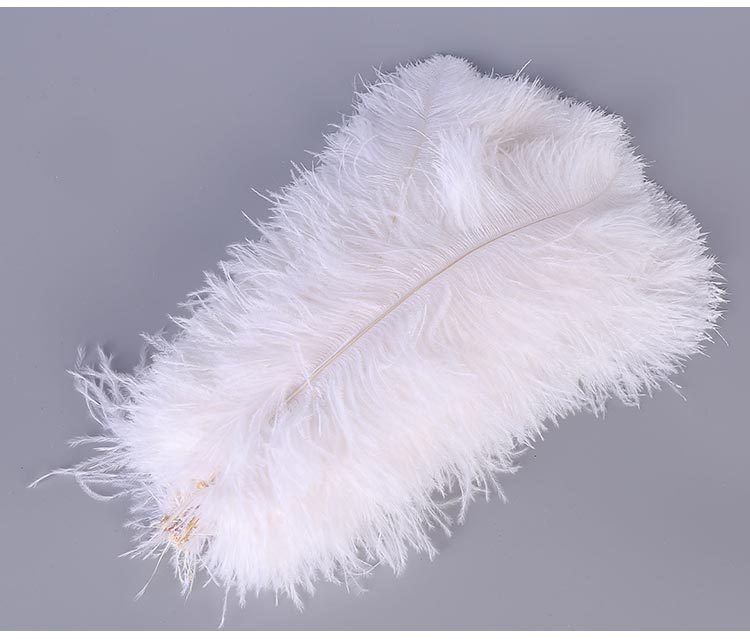 Factory Direct Supply Ostrich Hair 30-35cm Soft Rod Ostrich Feather Decoration Clothing Accessories Multi-Color Dyed