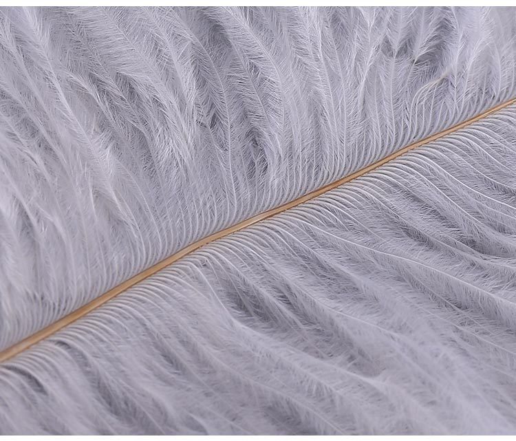 Factory Direct Supply Ostrich Hair 30-35cm Soft Rod Ostrich Feather Decoration Clothing Accessories Multi-Color Dyed