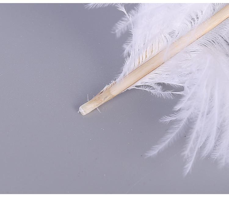Factory Direct Supply Ostrich Hair 30-35cm Soft Rod Ostrich Feather Decoration Clothing Accessories Multi-Color Dyed