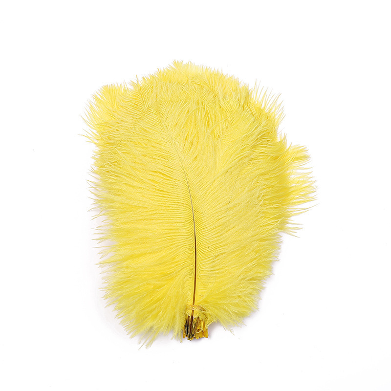 Dyed Ostrich Hair 20-25cm Color Feather 8 Colors in Stock Can Be One Piece Dropshipping