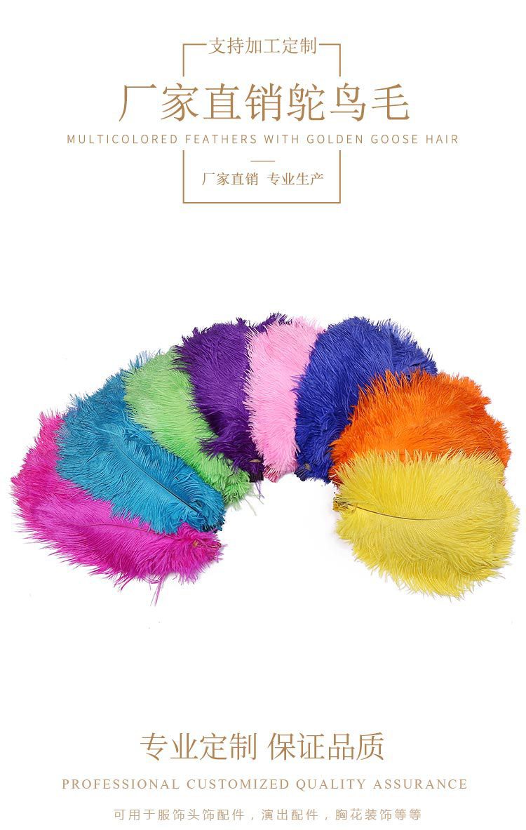 Dyed Ostrich Hair 20-25cm Color Feather 8 Colors in Stock Can Be One Piece Dropshipping