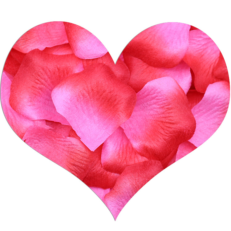 Room Layout Wedding Scene Atmosphere Throwing Flowers Marriage Bed Sprinkling Flowers Factory Wholesale Wedding Petal