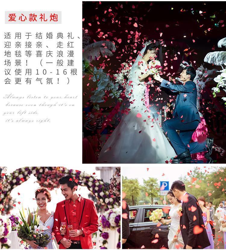 Fireworks Collection of Gift Gun Ribbon Gift Tube Wedding Wedding Opening Handheld Color Gun Wholesale Petal Rain Fireworks Collection of Gift Gun Ribbon Gift Tube Wedding Wedding Opening Handheld Color Gun Wholesale Petal Rain