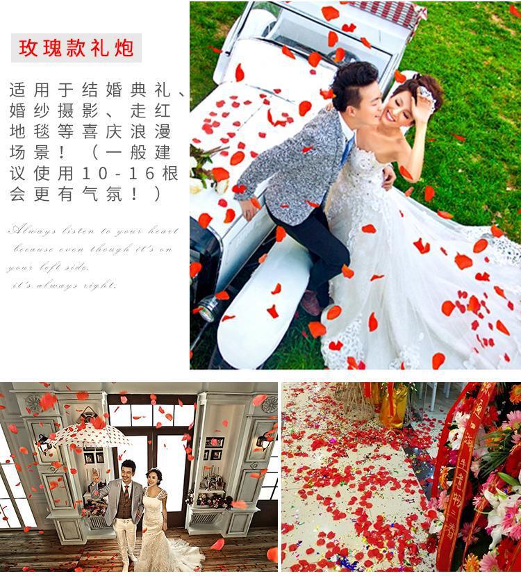 Fireworks Collection of Gift Gun Ribbon Gift Tube Wedding Wedding Opening Handheld Color Gun Wholesale Petal Rain Fireworks Collection of Gift Gun Ribbon Gift Tube Wedding Wedding Opening Handheld Color Gun Wholesale Petal Rain