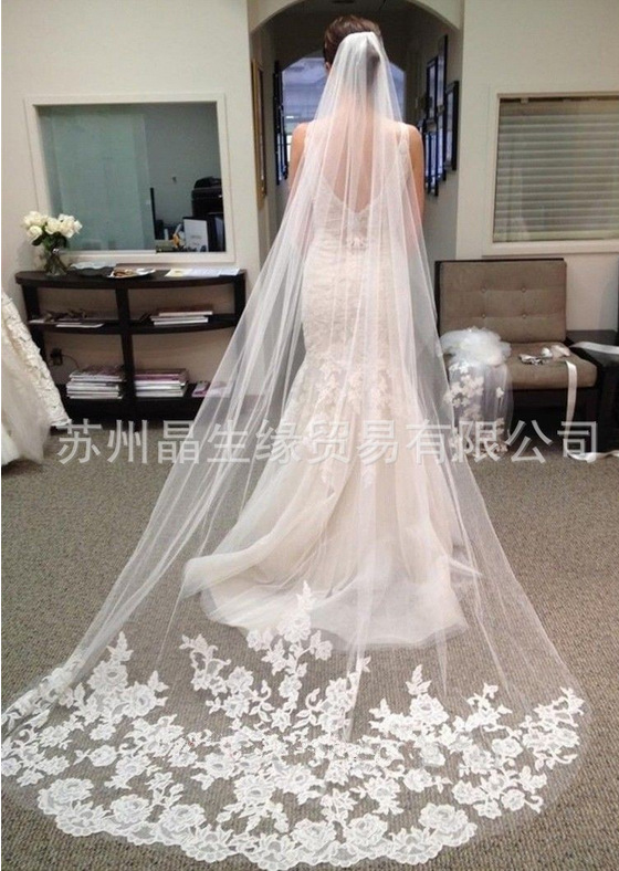2016 Special romantic Decal Soft yarn Length 3 Newton lace bridal Veil Super long Wedding Veil White