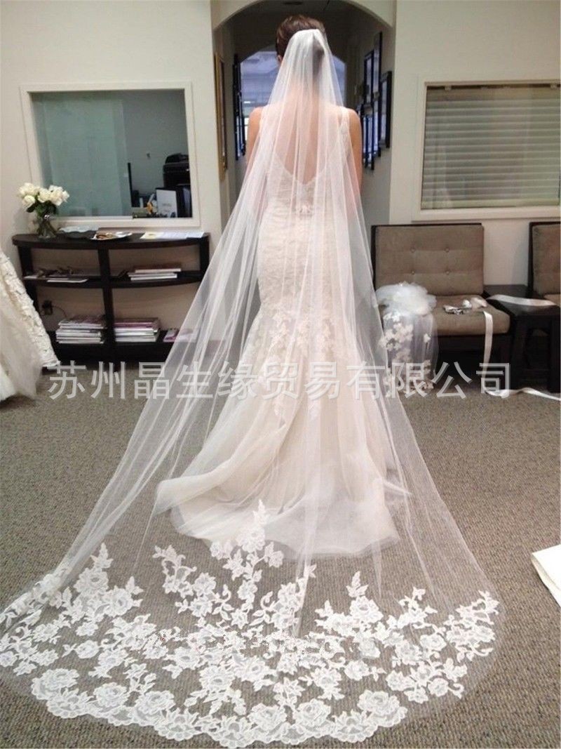 2016 Special romantic Decal Soft yarn Length 3 Newton lace bridal Veil Super long Wedding Veil White