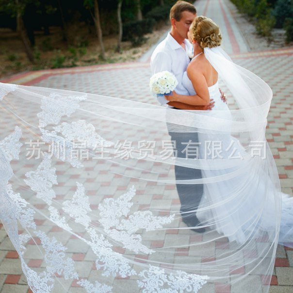 2016 Special romantic Decal Soft yarn Length 3 Newton lace bridal Veil Super long Wedding Veil White