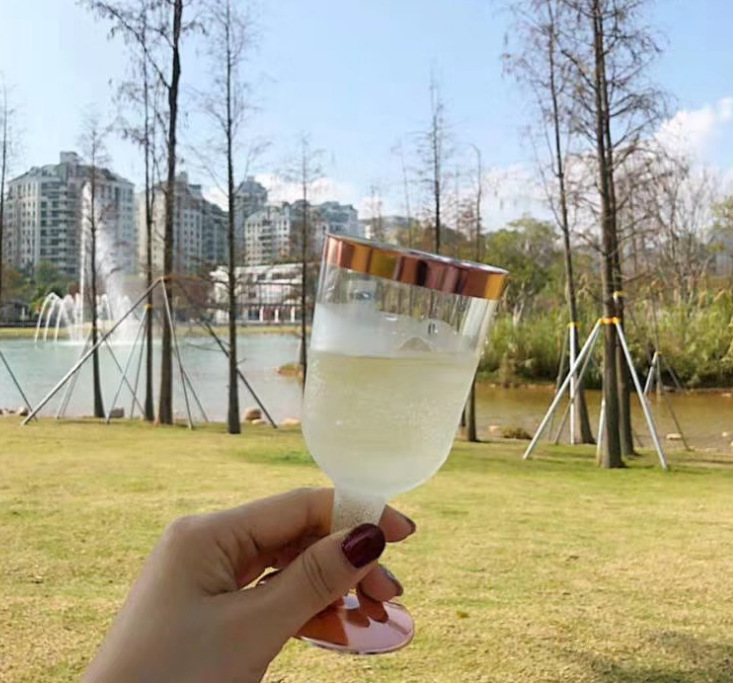 Disposable Goblet High-Grade Plastic Wine Glass Golden Edge Silver Champagne Glass Rose Gold Wine Glass Plastic Disposable Goblet High-Grade Plastic Wine Glass Golden Edge Silver Champagne Glass Rose Gold Wine Glass Plastic