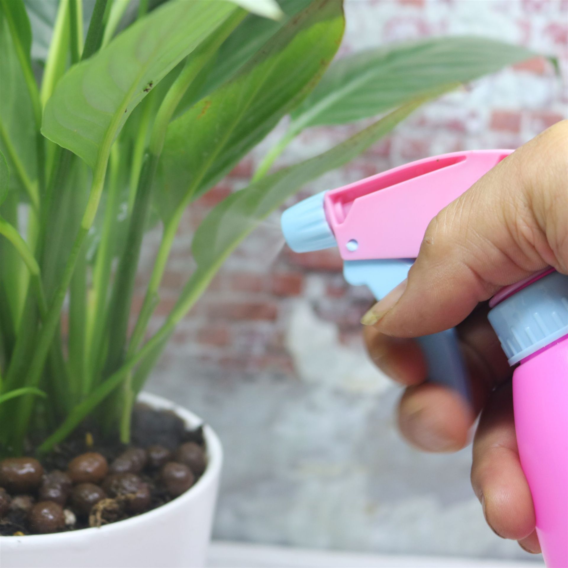 Sprinkling Can Sprinkling Can Garden Plastic Watering Can Watering Can Small Spray Bottle Sprinkling Can Sprayer Batch