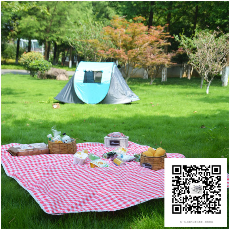 Outdoor Picnic Blanket Wholesale Picnic Mat Portable Spring Outing Tent Mat Thick Waterproof Beach Mat