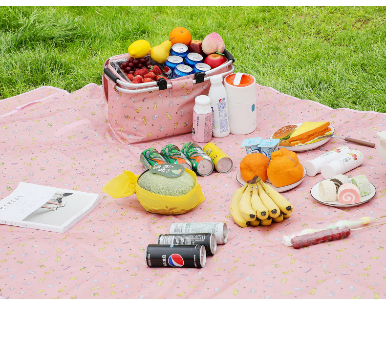 Hot Sale Outdoor Picnic Mat Folding Moisture Proof Pad Camping Picnic Blanket Beach Travel Beach Mat Source Factory