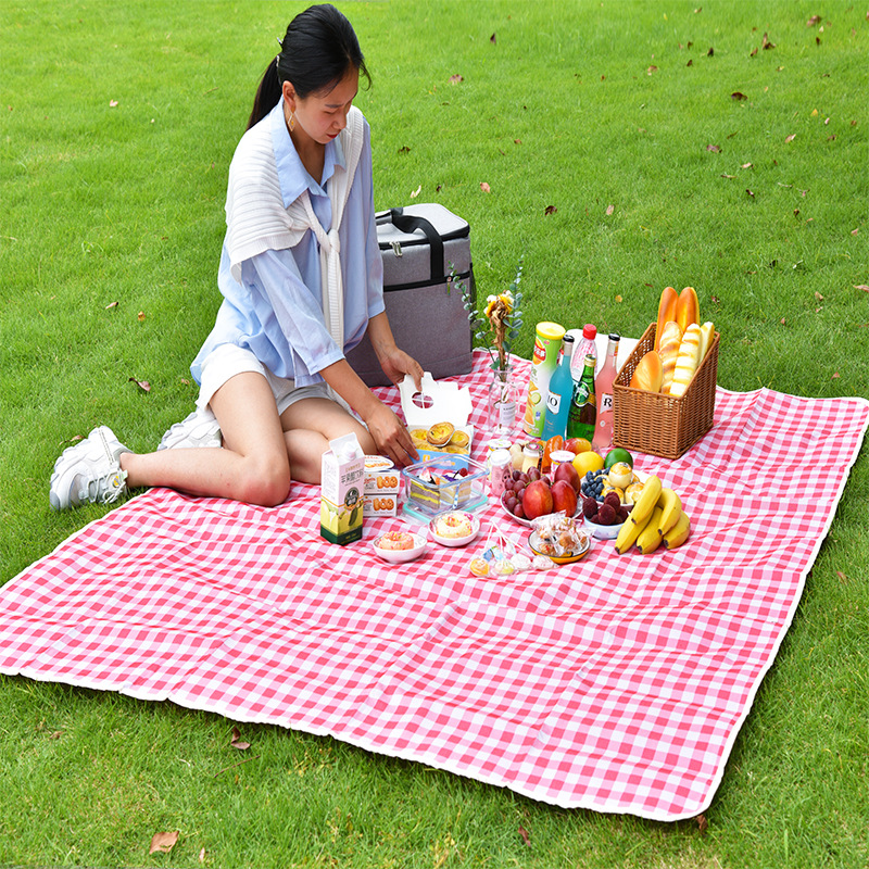 Spot Moisture-Proof Picnic Mat Outdoor Picnic Camp Beach Tent Floor Mat Waterproof Thickened Lawn Mat Picnic Blanket