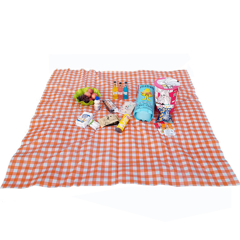 Mat Outdoor Barbecue Waterproof Thickened Plastic Spring Outing Tablecloth Outing Tablecloth Ins Style Picnic Blanket