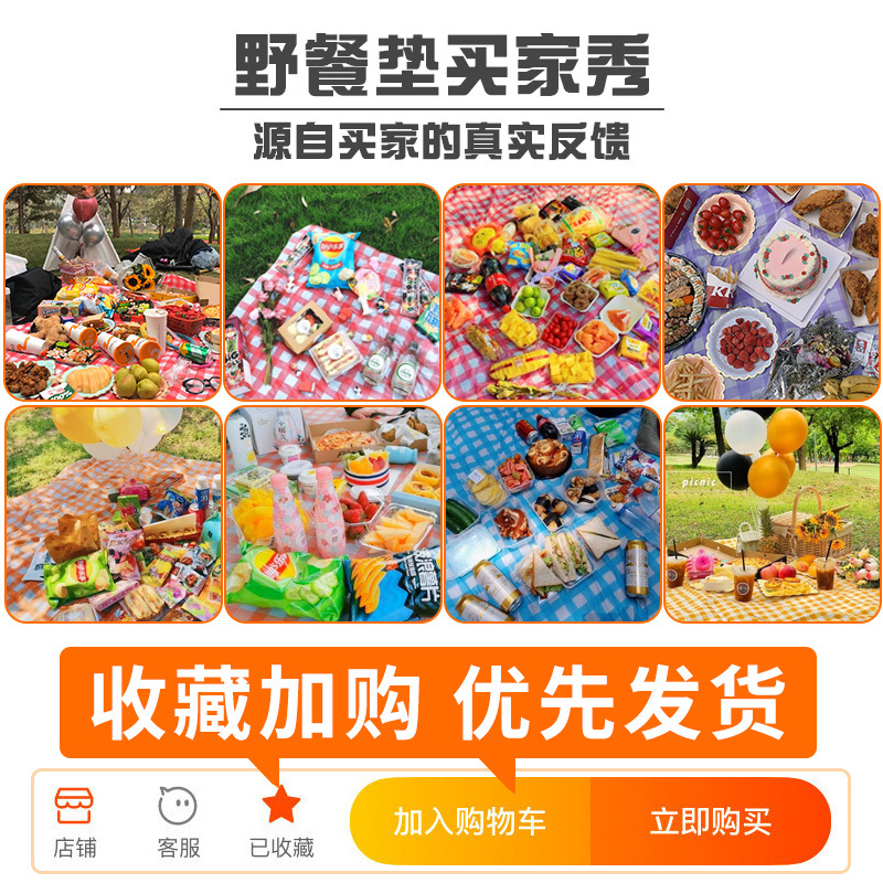 Mat Outdoor Barbecue Waterproof Thickened Plastic Spring Outing Tablecloth Outing Tablecloth Ins Style Picnic Blanket