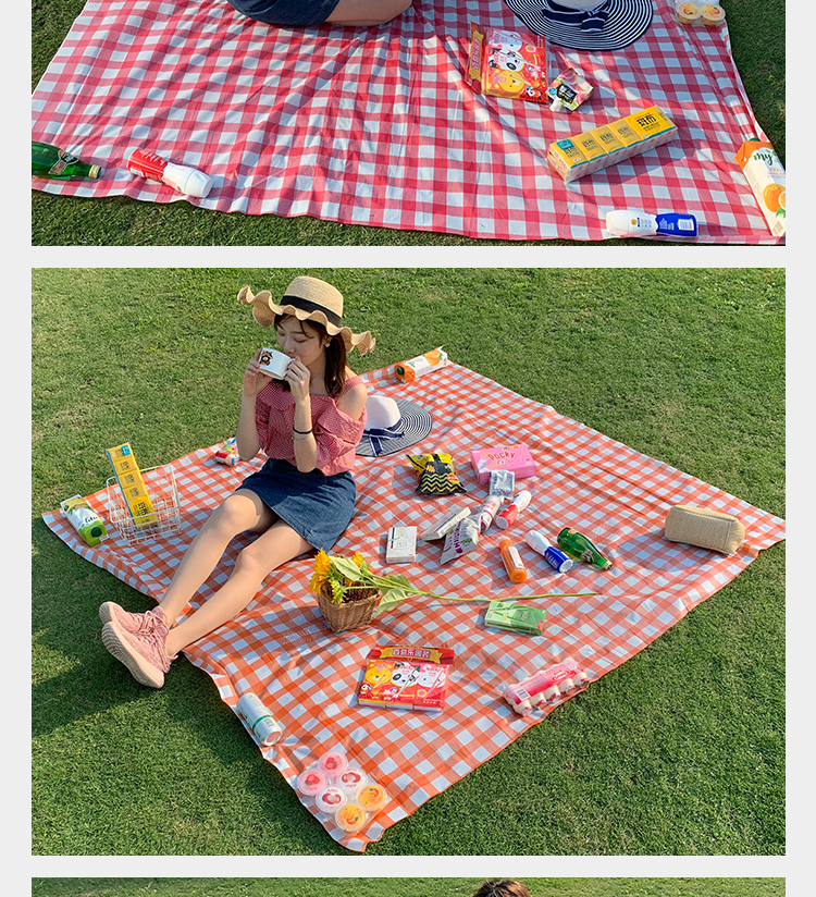 Mat Outdoor Barbecue Waterproof Thickened Plastic Spring Outing Tablecloth Outing Tablecloth Ins Style Picnic Blanket Mat Outdoor Barbecue Waterproof Thickened Plastic Spring Outing Tablecloth Outing Tablecloth Ins Style Picnic Blanket