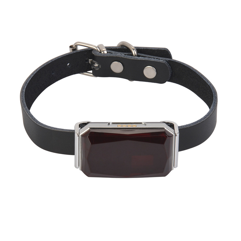 New Cool Gem IP67 Waterproof Pets' GPS Locator Dog Cat Cattle Sheep Hunting Dog Tracking Anti-Lost New Cool Gem IP67 Waterproof Pets' GPS Locator Dog Cat Cattle Sheep Hunting Dog Tracking Anti-Lost