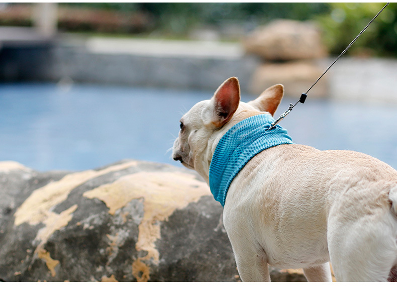 Pet Summer Cold Neck Towel French Bulldog English Bucket Dog Cat Cooling Scarf Triangular Binder Iced Towel Pet Summer Cold Neck Towel French Bulldog English Bucket Dog Cat Cooling Scarf Triangular Binder Iced Towel