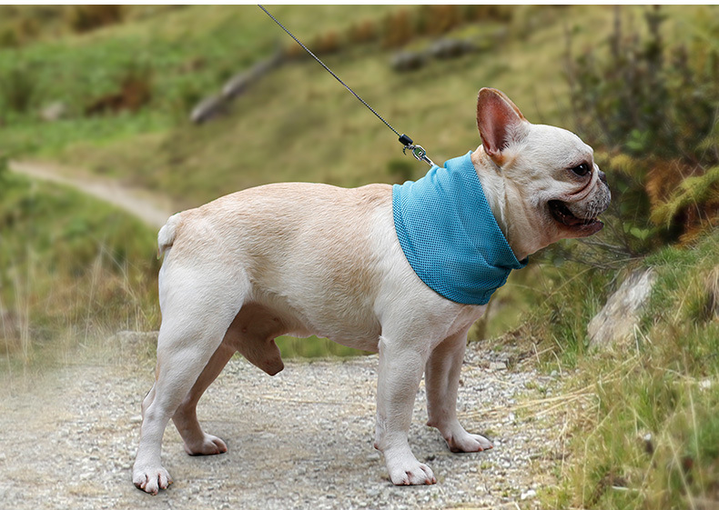 Pet Summer Cold Neck Towel French Bulldog English Bucket Dog Cat Cooling Scarf Triangular Binder Iced Towel Pet Summer Cold Neck Towel French Bulldog English Bucket Dog Cat Cooling Scarf Triangular Binder Iced Towel
