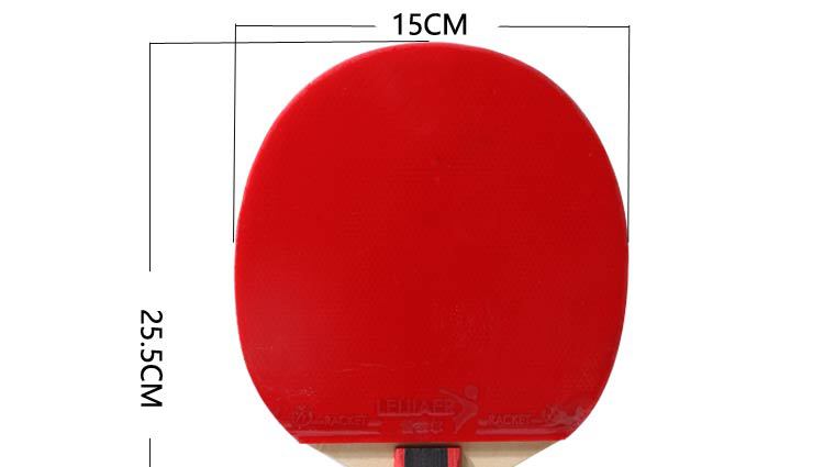 Regal,leijiaer,1219, table tennis racket, double-sided reverse glue, backhand Regal,leijiaer,1219, table tennis racket, double-sided reverse glue, backhand