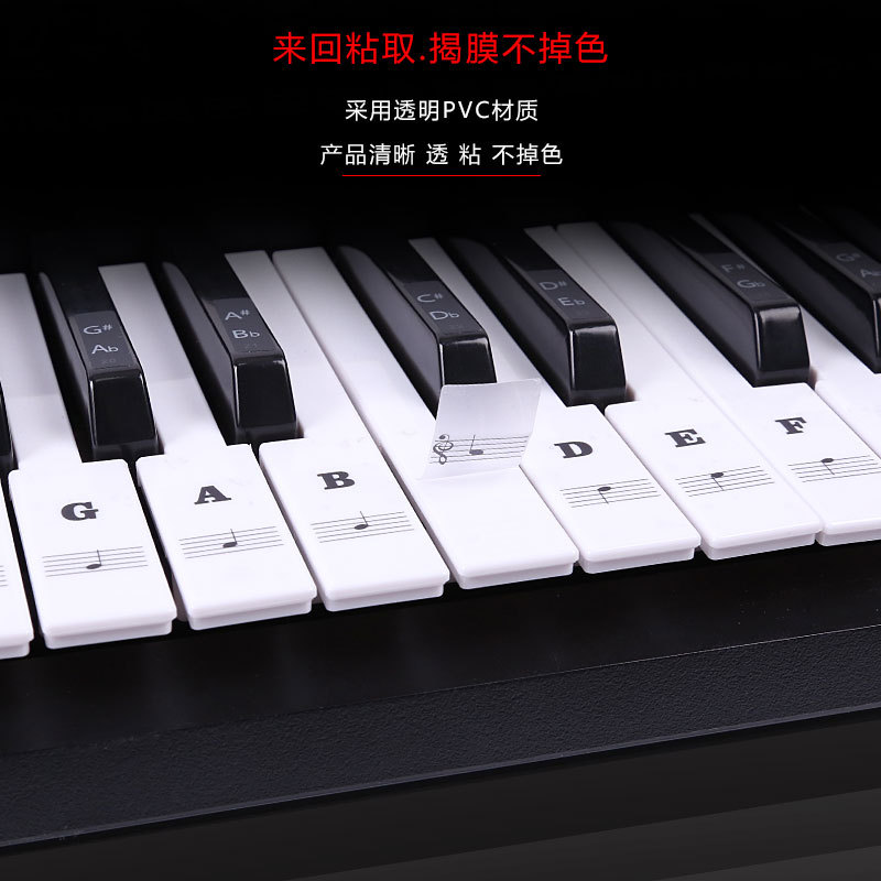 Key Piano Transparent Sticker Electronic Keyboard Keys Plate Hand Roll Steel Keys Sticker Simple Spectrum Scale Sticker