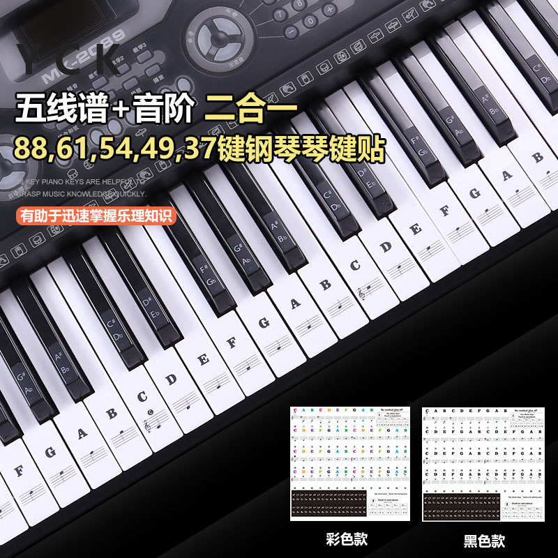 Key Piano Transparent Sticker Electronic Keyboard Keys Plate Hand Roll Steel Keys Sticker Simple Spectrum Scale Sticker