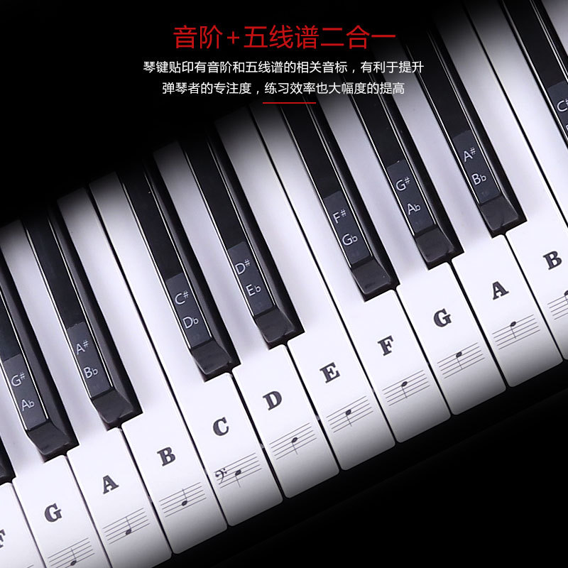 Key Piano Transparent Sticker Electronic Keyboard Keys Plate Hand Roll Steel Keys Sticker Simple Spectrum Scale Sticker