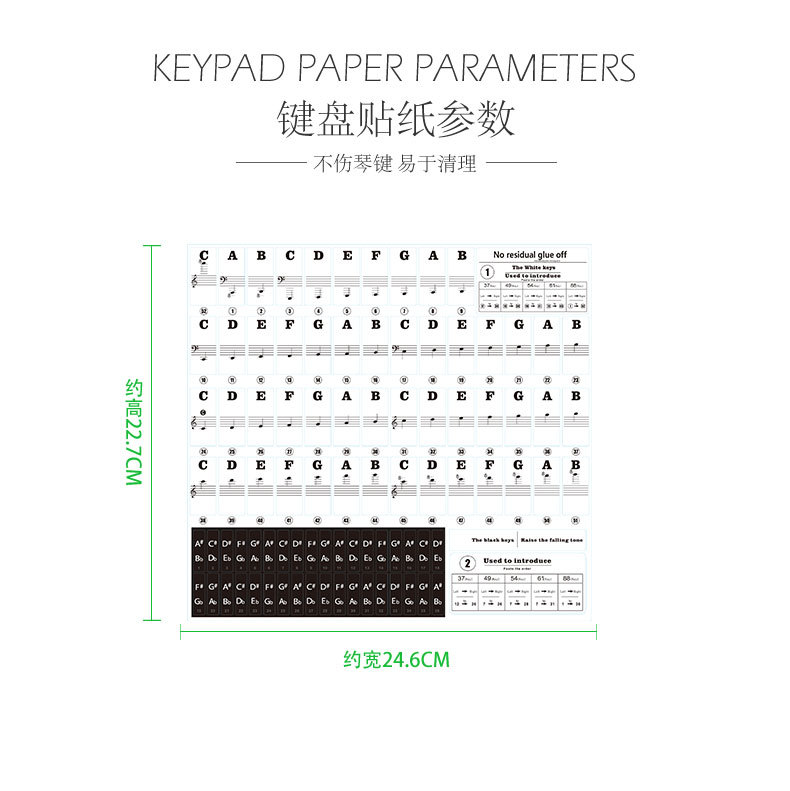 Key Piano Transparent Sticker Electronic Keyboard Keys Plate Hand Roll Steel Keys Sticker Simple Spectrum Scale Sticker Key Piano Transparent Sticker Electronic Keyboard Keys Plate Hand Roll Steel Keys Sticker Simple Spectrum Scale Sticker