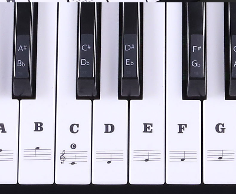 Key Piano Transparent Sticker Electronic Keyboard Keys Plate Hand Roll Steel Keys Sticker Simple Spectrum Scale Sticker Key Piano Transparent Sticker Electronic Keyboard Keys Plate Hand Roll Steel Keys Sticker Simple Spectrum Scale Sticker